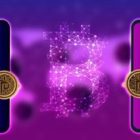 Crypto Platform Explainer Video - PayFBit